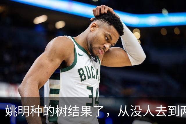 姚明种的树结果了，从没人去到两位数留洋，年轻人治好男篮老毛病